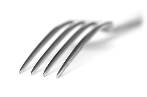 fork02.jpg